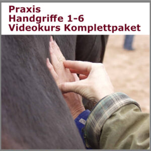 Sensomotorik Praxis Handgriffe als Videomodul