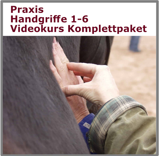 Sensomotorik Praxis Handgriffe als Videomodul